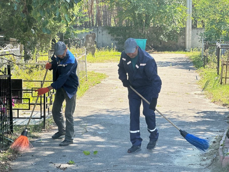 Видаляють пошкоджені обстрілами дерева з кладовища комунальники Харкова